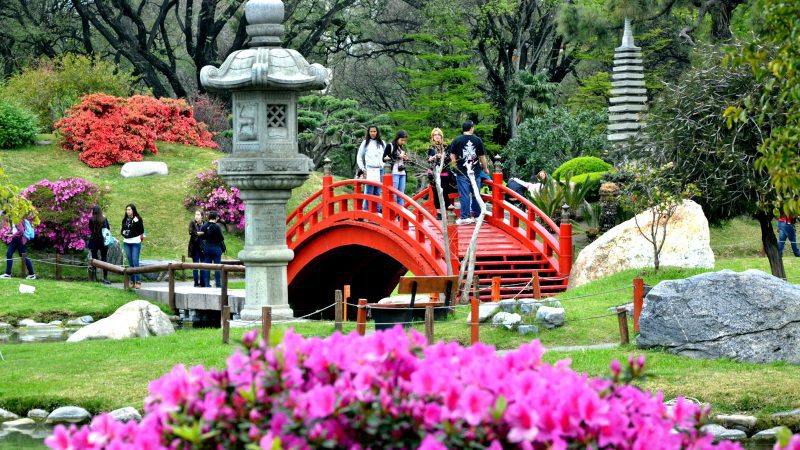 Visitantes atravessam uma ponte vermelha tradicional no Jardim Japonês em Buenos Aires, cercada por flores vibrantes, lanternas de pedra e vegetação exuberante.