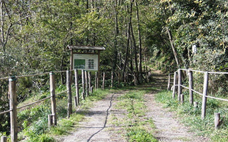 A imagem mostra uma trilha cercada por vegetação e delimitada por uma cerca simples de madeira. À esquerda, há uma placa informativa com detalhes sobre o percurso. O caminho segue suavemente para dentro de uma área arborizada, criando um ambiente acolhedor e natural para os visitantes.