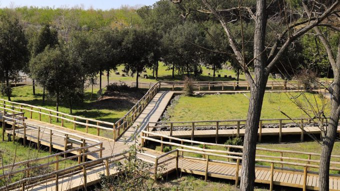 A imagem mostra uma passarela de madeira que serpenteia por uma área verde com grama e árvores. A estrutura elevada permite que os visitantes caminhem pela paisagem de forma acessível, cercada por vegetação e oferecendo um ambiente tranquilo e bem cuidado. O cenário é aberto, com árvores espaçadas e um caminho claramente demarcado, proporcionando uma experiência serena na natureza.