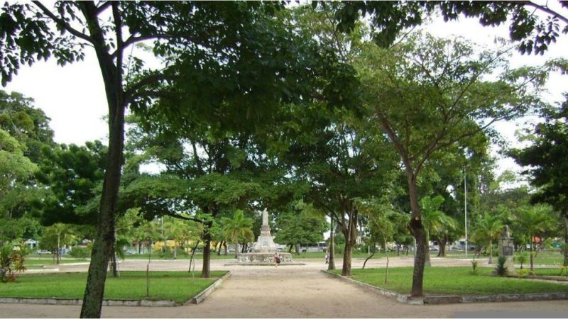 Caminho de terra em uma praça arborizada, ladeado por árvores que formam um túnel natural. Ao fundo, um obelisco é visível, cercado por áreas verdes e outras plantas. O ambiente transmite tranquilidade em meio à vegetação densa.