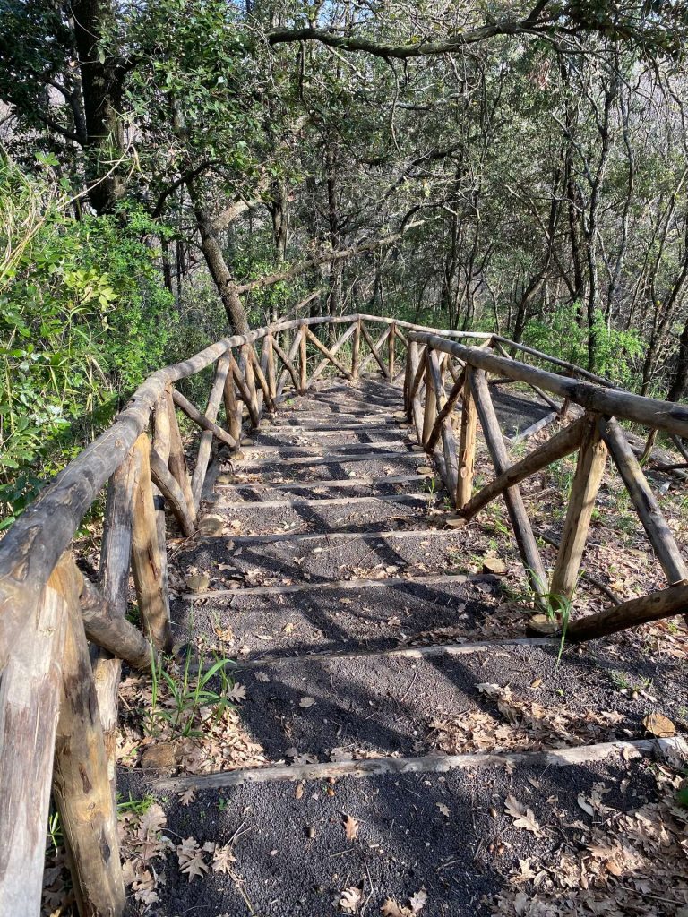 A imagem mostra uma escadaria de madeira cercada por uma cerca rústica, descendo por uma trilha em meio a árvores densas e vegetação verde. O caminho é sombreado pelas árvores, criando uma sensação de tranquilidade e imersão na natureza, enquanto as folhas secas cobrem partes do chão.